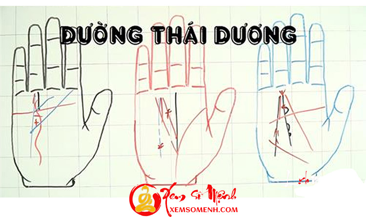 Xem đường Thái Dương đoán tài vận, sự nghiệp siêu chuẩn