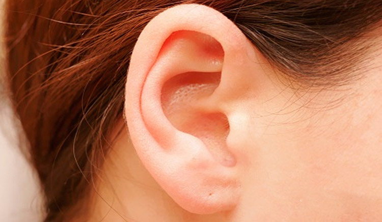 Hãy cho biết tai bạn hình gì, tôi dám khẳng định bạn là người thế nào