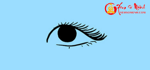 Long mi dai ngan noi len dieu gi o ban - kieu 4