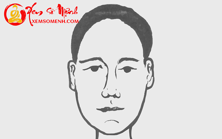 xem tuong tran cao tron