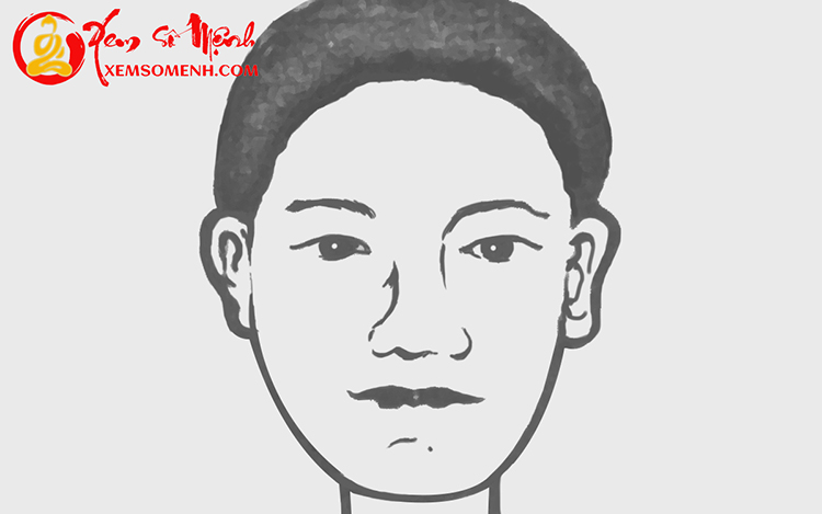 xem tuong tran hinh ban nguyet