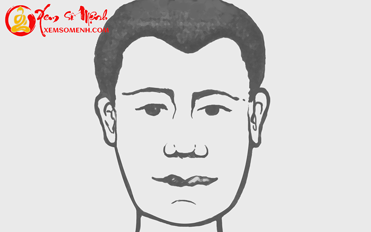 xem tuong tran hinh chu M