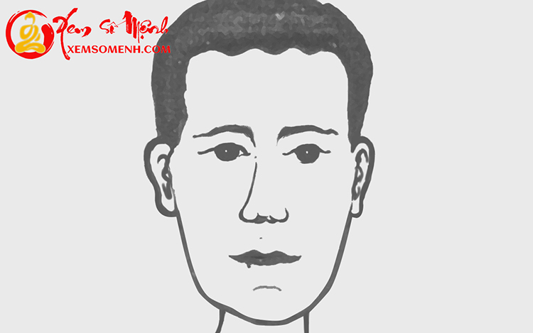 xem tuong tran hinh sin