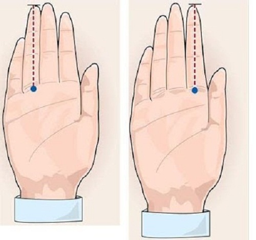 Ngón tay đeo nhẫn: bật mí bản lĩnh phòng the và khả năng làm tỉ phú ở đàn ông