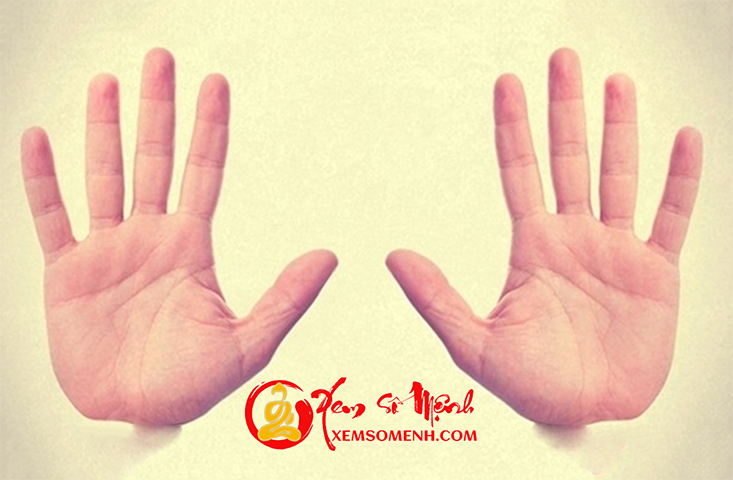 Hé lộ 4 đường chỉ tay hiếm có khó tìm