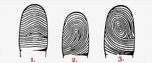 Xem tướng ngón tay đoán vận mệnh hình ảnh 2 Xem tuong ngon tay doan van menh hinh anh 2