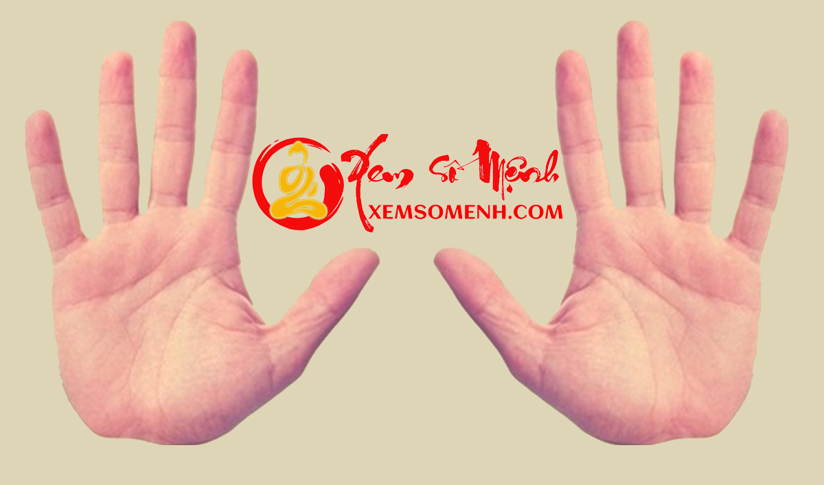 10 đầu ngón tay soi rõ vận mệnh sang hèn