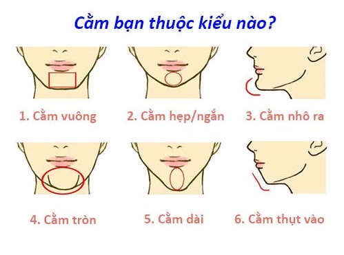 Trắc nghiệm: Bạn thuộc kiểu cằm nào dưới đây?