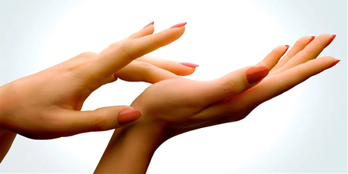 cổ tay tròn đầy co tay tron day