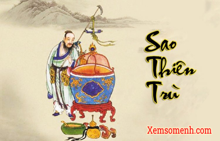 Sao Thiên Trù : Ý Nghĩa Tại Mệnh Và Các Cung Khác Trong Tử Vi