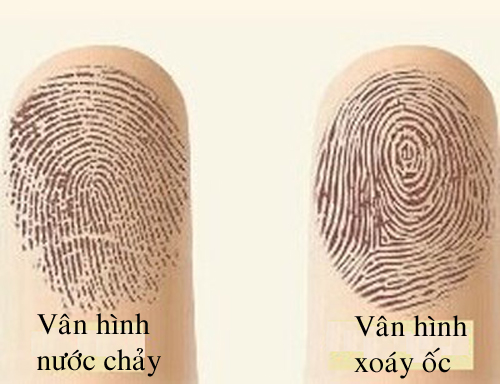 Kham pha bi mat an giau sau moi duong van tay (phan 1) hinh anh