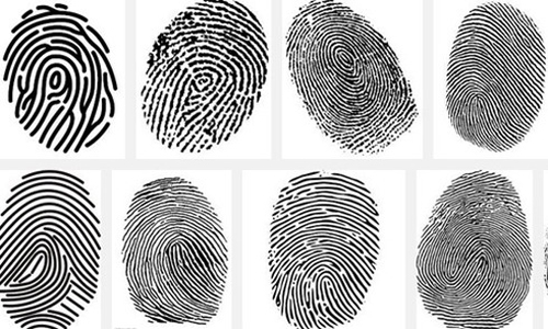 Khám phá bí mật ẩn giấu sau mỗi đường vân tay