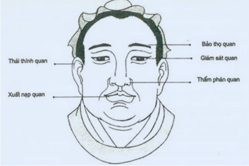 Nhân tướng học là gì? Tầm quan trọng không thể xem thường