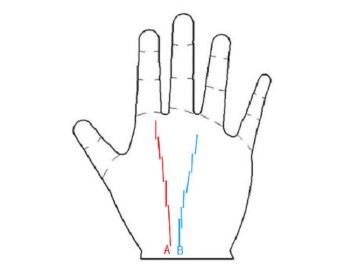 Doan kha nang nhay viec qua duong chi tay Su nghiep hinh anh 3