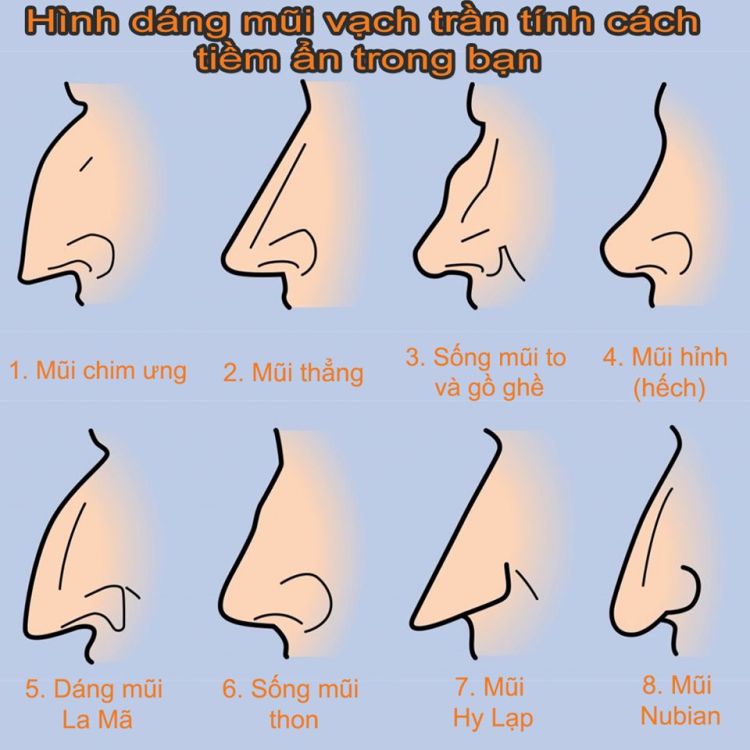 Dáng mũi La mã, là người sở hữu nguồn năng lực vô cùng tích cực