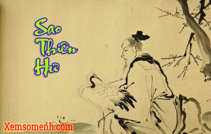 Sao Thiên Hư- Ý nghĩa ở Mệnh Và Các Cung Khác Trong Tử Vi