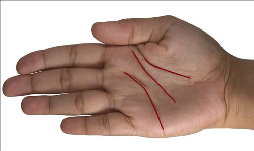 xem duong chi tay vo chong xem duong chi tay vo chong