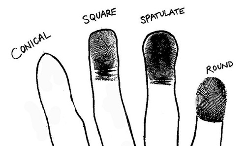 Tuong dau ngon tay vuong hay tron thi tot hinh anh goc