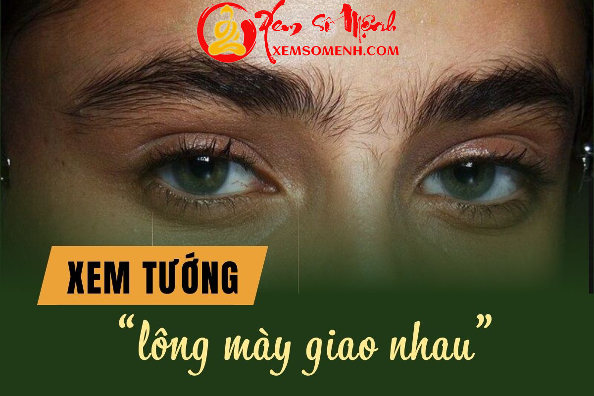 Giải mã bí ẩn tướng lông mày giao nhau: Tốt hay xấu, báo hiệu điều gì về cuộc đời?