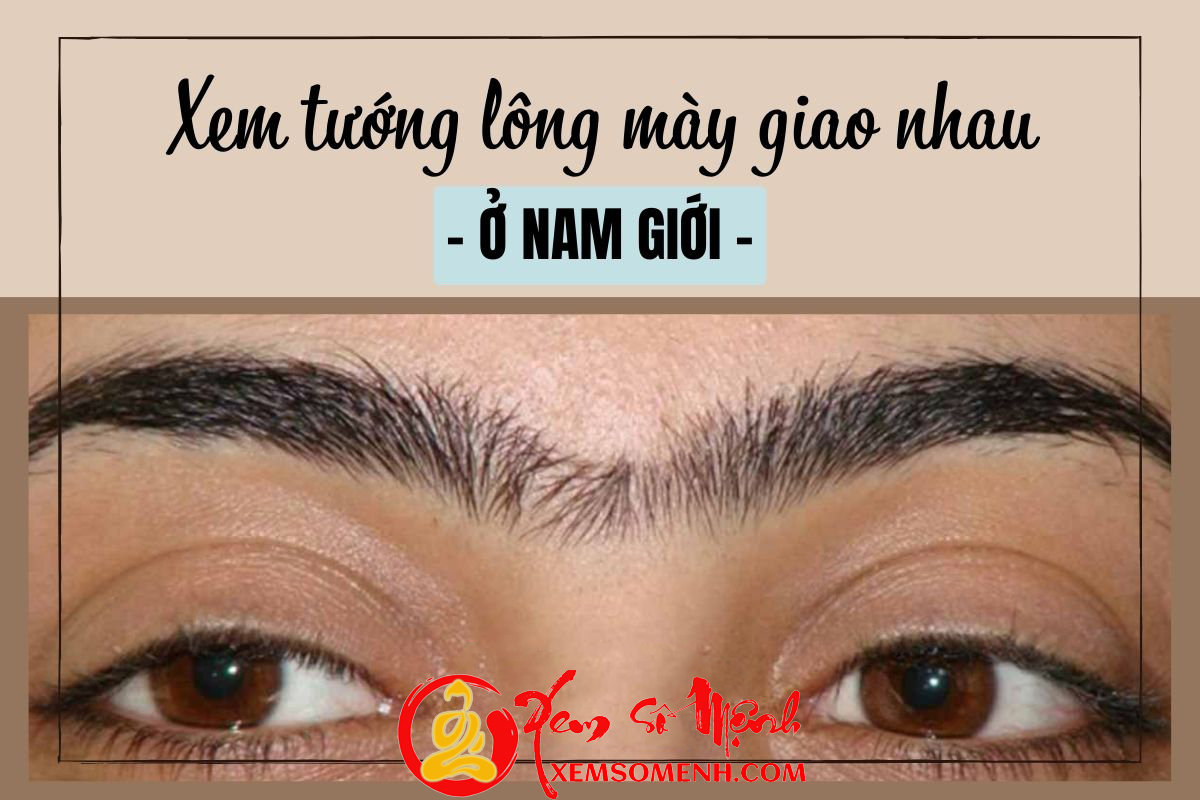 Long may giao nhau o nam gioi