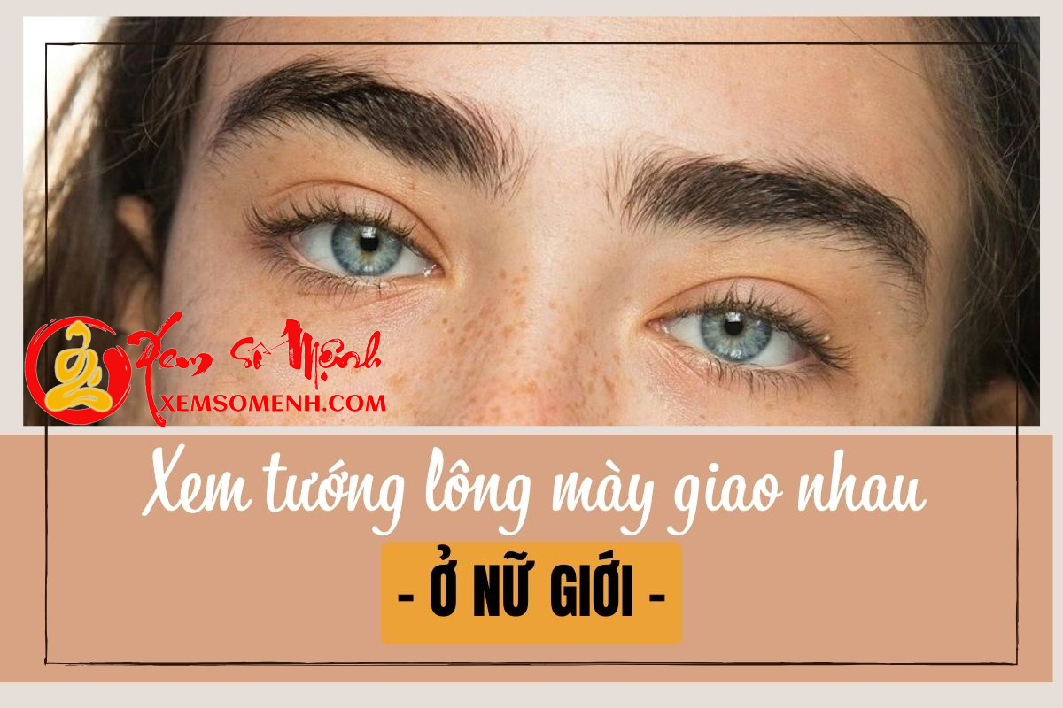 Long may giao nhau o nu gioi