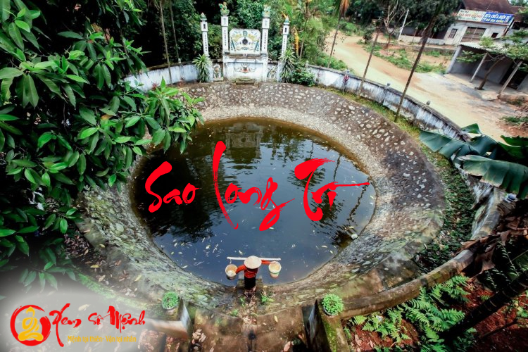 Sao Long Trì - Ý nghĩa tại Mệnh và các cung khác trong tử vi