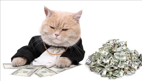 Lông mọc nhiều thì phát tài phát lộc, chính là ở ba chỗ này