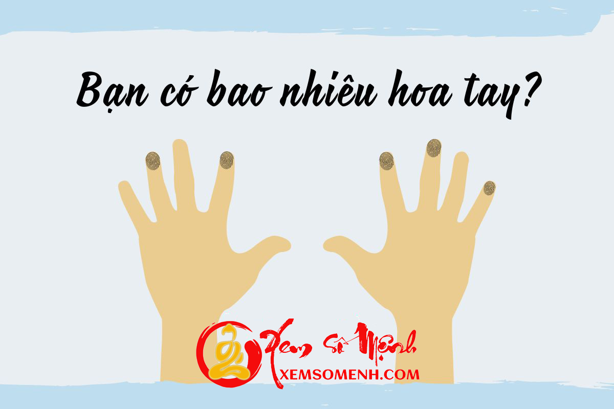 Xem bói hoa tay đoán vận giàu - nghèo cuộc đời Xem boi hoa tay doan van giau - ngheo cuoc doi