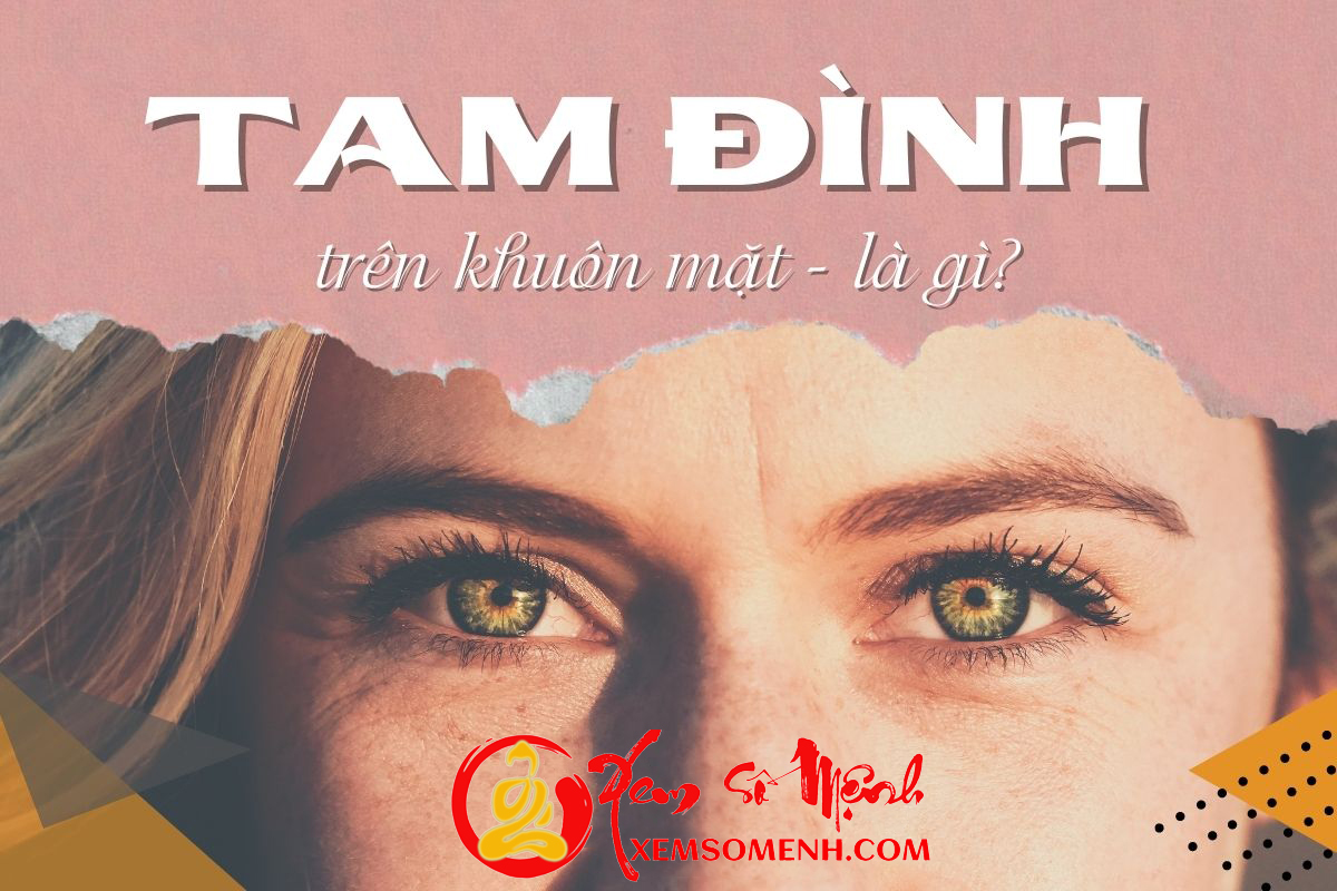 TAM ĐÌNH trên gương mặt là gì? Luận đoán vận số cuộc đời tốt xấu ra sao qua Tam Đình
