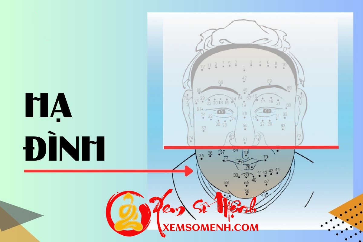 Bo vi Ha Dinh tren khuon mat