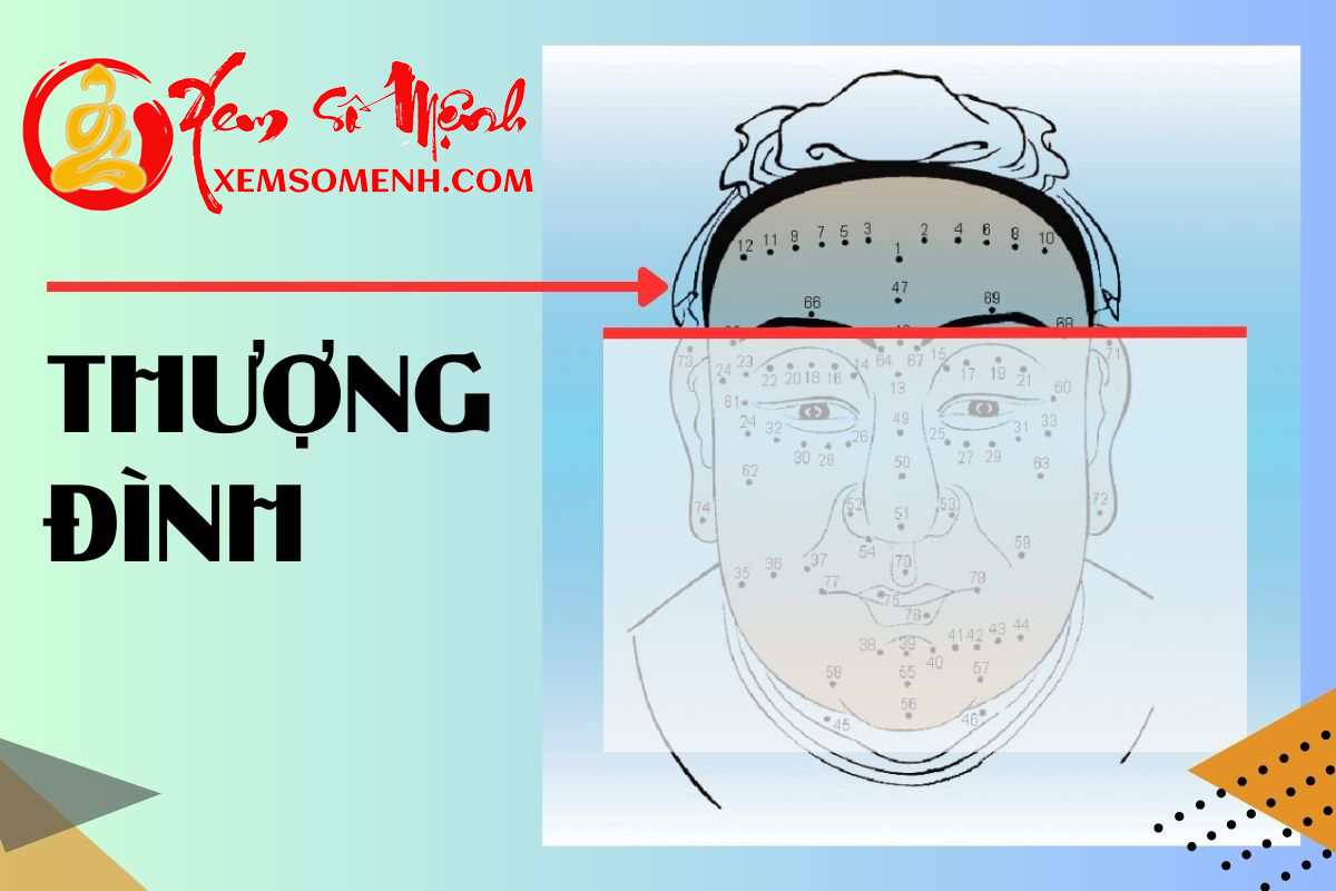 Bo vi Thuong Dinh tren khuon mat