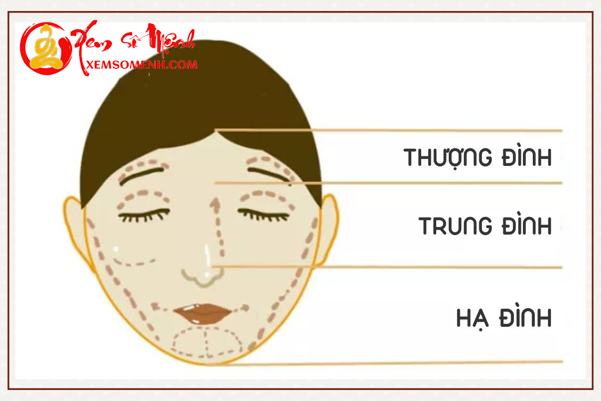 Tam dinh tren khuon mat