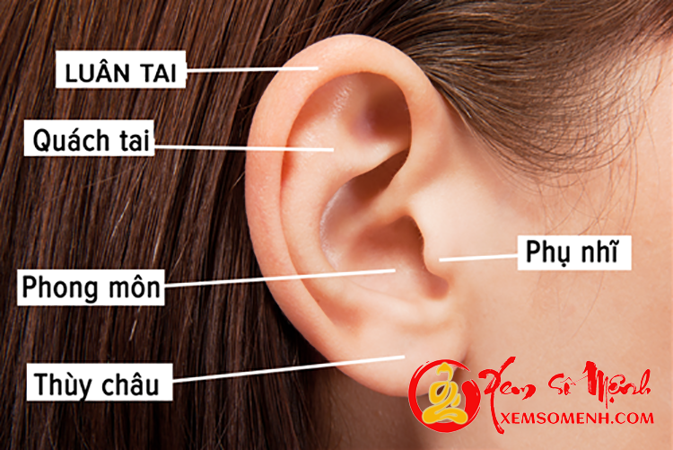 Tướng tai phụ nữ kỵ bấm lỗ tai Tuong tai phu nu ky bam lo tai