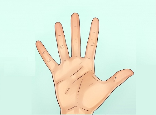 xem tướng tay trên ngón cái có nốt ruồi xem tuong tay tren ngon cai co not ruoi