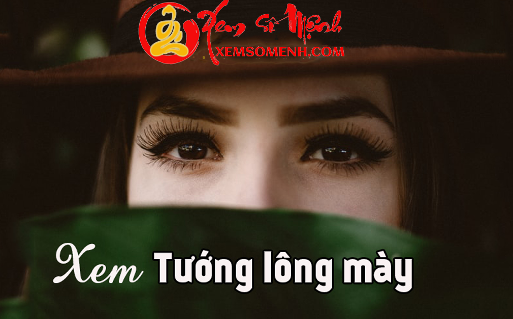 Xem TƯỚNG LÔNG MÀY NAM NỮ dự đoán vận mệnh, đọc vị tính cách chuẩn xác