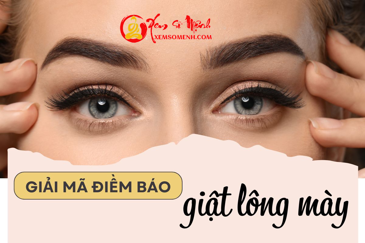 Điềm báo GIẬT LÔNG MÀY tốt hay xấu, liệu có sự kiện quan trọng nào sắp xảy tới?