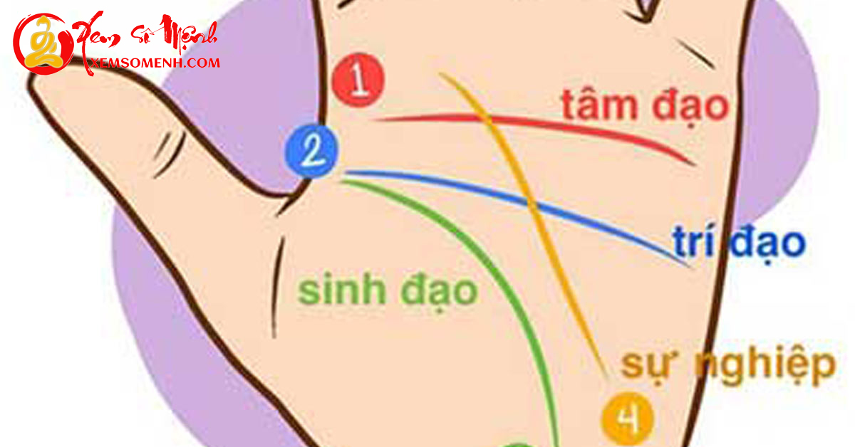 9 đường vân tay nhiều tiền lắm của, phú quý đuổi theo ầm ầm