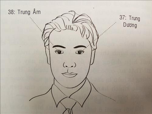van so tuoi trung nien 37 38 trung am trung duong nam