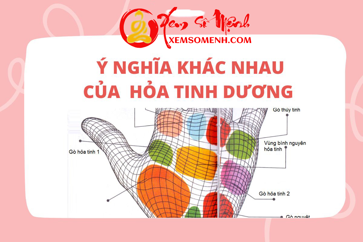 Y nghia khac nhau cua go Hoa Tinh duong