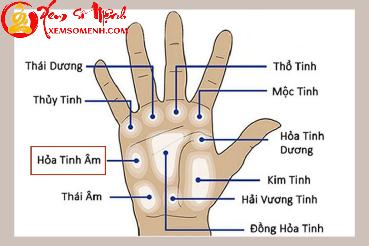 Vi tri go Hoa tinh am tren ban tay