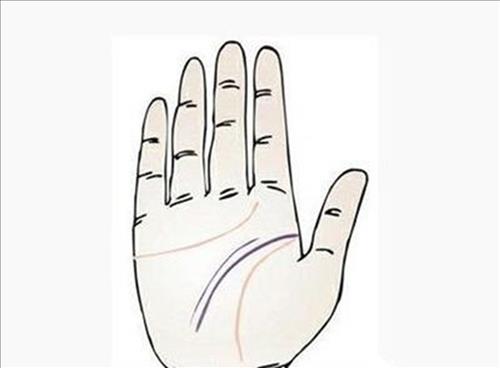 Người có hai đường chỉ tay trí tuệ thông minh hơn hẳn người thường