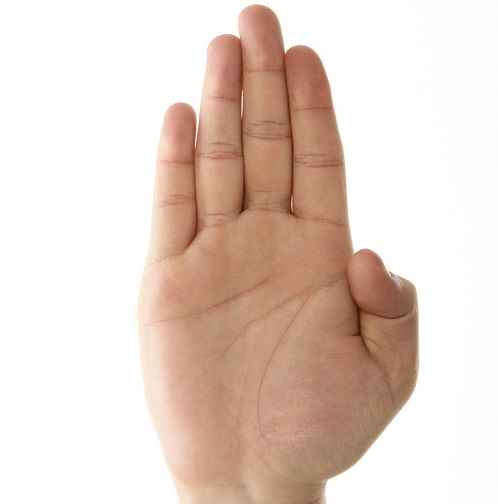 Nét tướng xấu nhưng giúp chủ nhân phát tài hình ảnh 2 Net tuong xau nhung giup chu nhan phat tai hinh anh 2