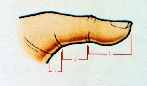 Xem độ dài đốt ngón tay đoán vận mệnh cát hung đời người