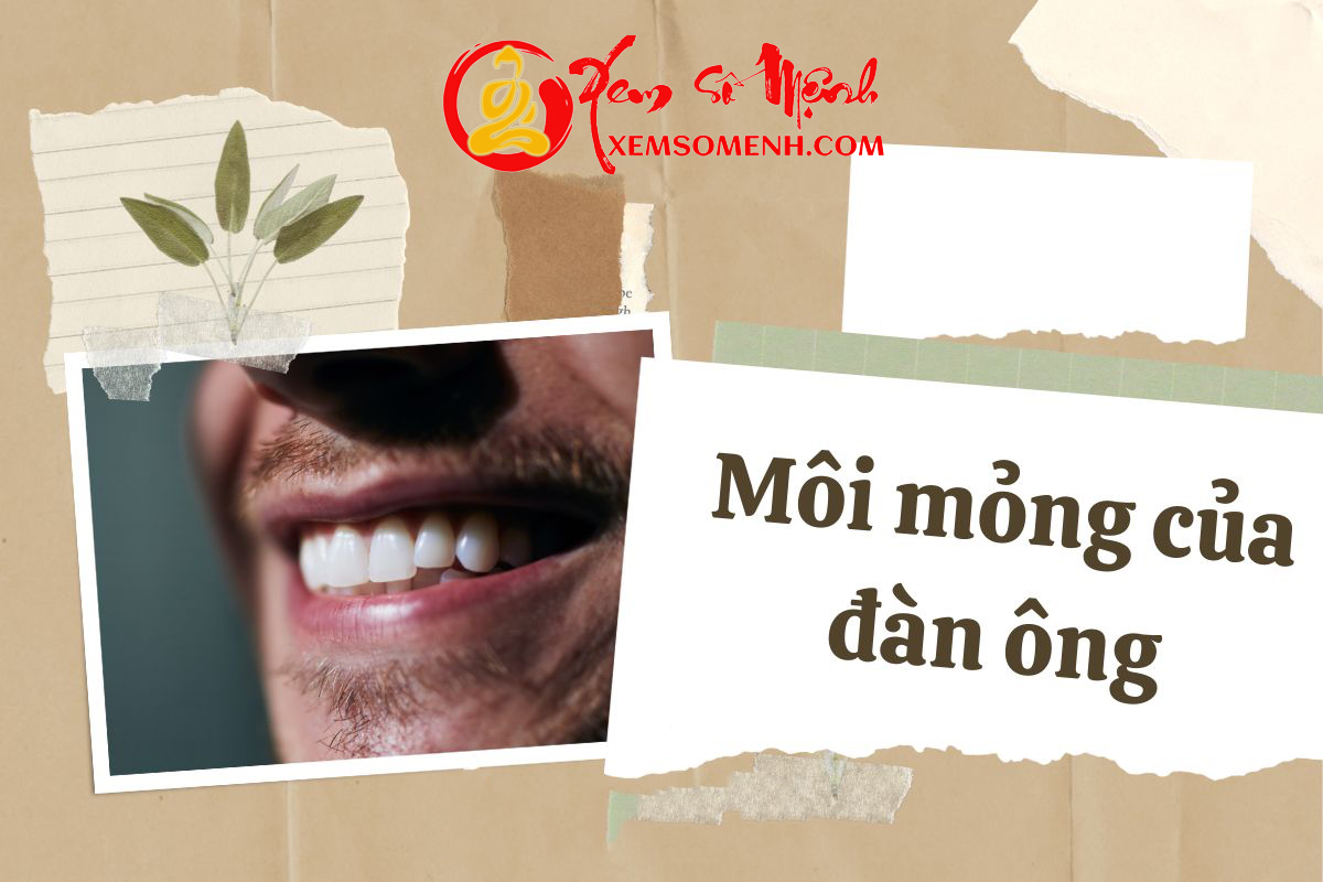 Tuong dan ong moi mong