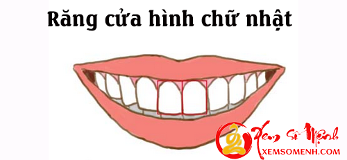 Tuong rang cua tiet lo ban chat con nguoi thuc su cua ban hinh anh goc