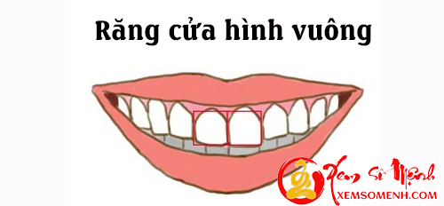 Tuong rang cua tiet lo ban chat con nguoi thuc su cua ban hinh anh goc