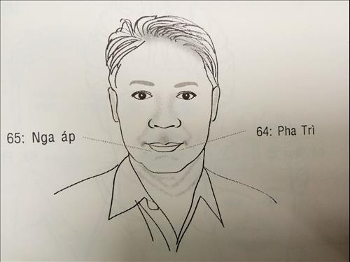 van so nguoi lon tuoi 64 65 van so nguoi lon tuoi 64 65