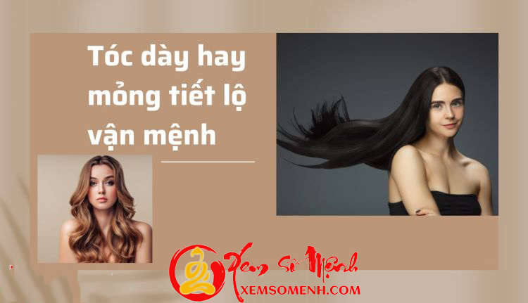 Mái tóc trong phong thủy cơ thể Mai toc trong phong thuy co the