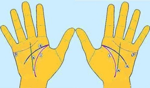 Bốn đường chỉ tay chính có thể giúp bạn đoán được vận mệnh của bất kỳ ai