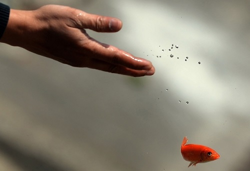 Người chết đi về đâu trong 49 ngày hình ảnh Nguoi chet di ve dau trong 49 ngay hinh anh